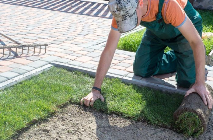 Why Professional Turf Installation Is Worth It on the Fraser Coast