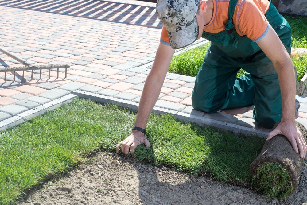 Why Professional Turf Installation Is Worth It on the Fraser Coast 2 Why Professional Turf Installation Is Worth It on the Fraser Coast