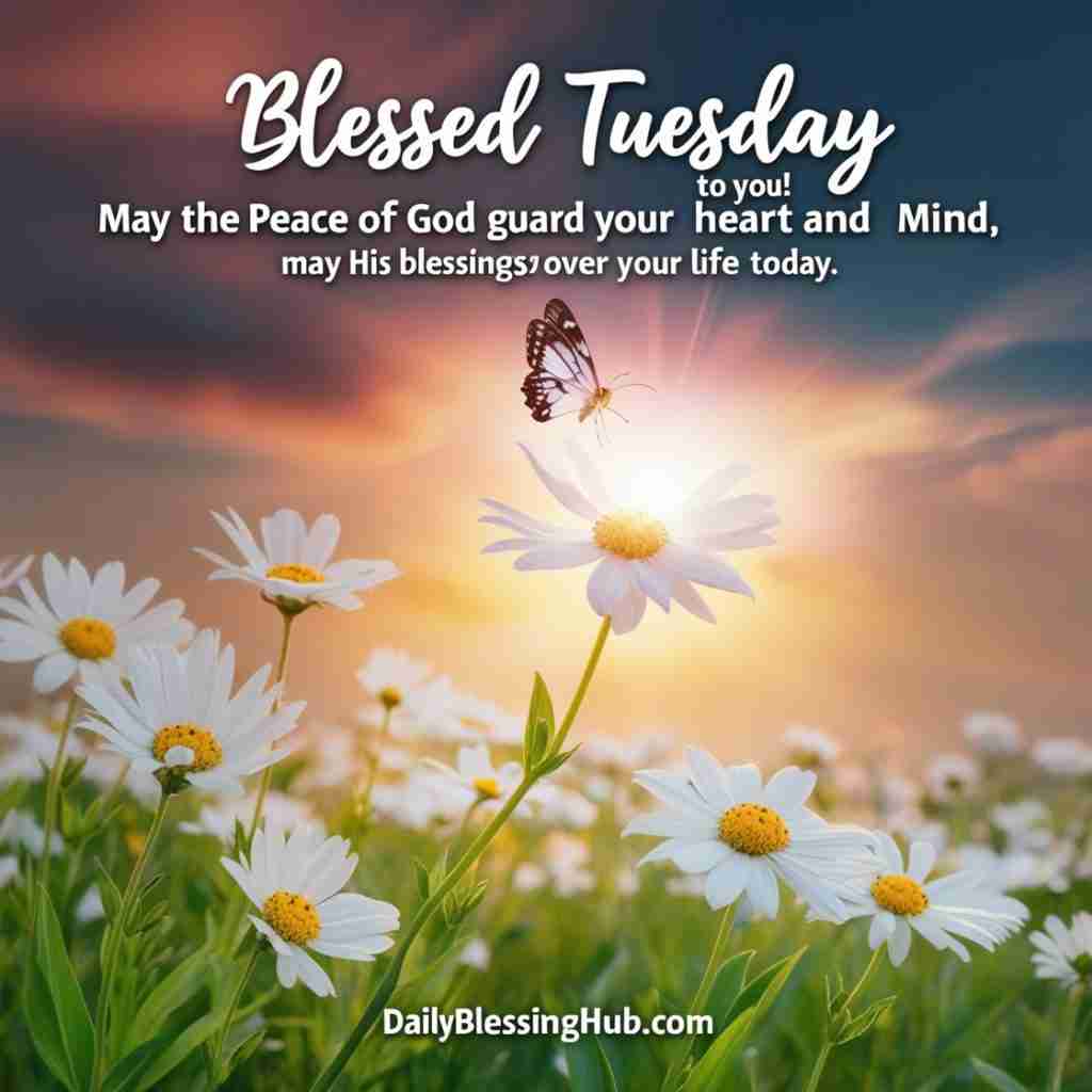 Leonardo Phoenix Blessed Tuesday to you May the peace of God g 1