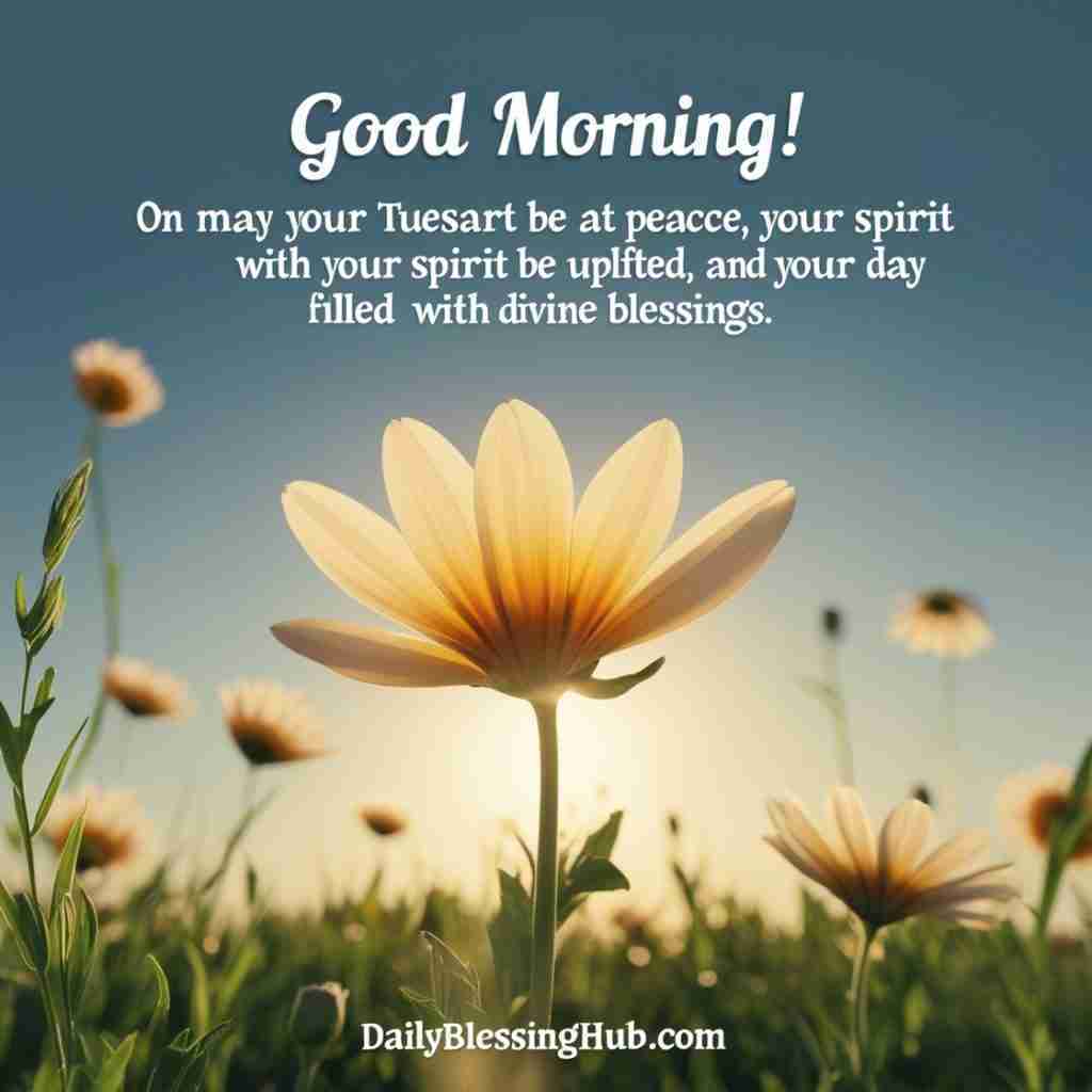 Leonardo Phoenix Good Morning On this Tuesday may your heart b 0