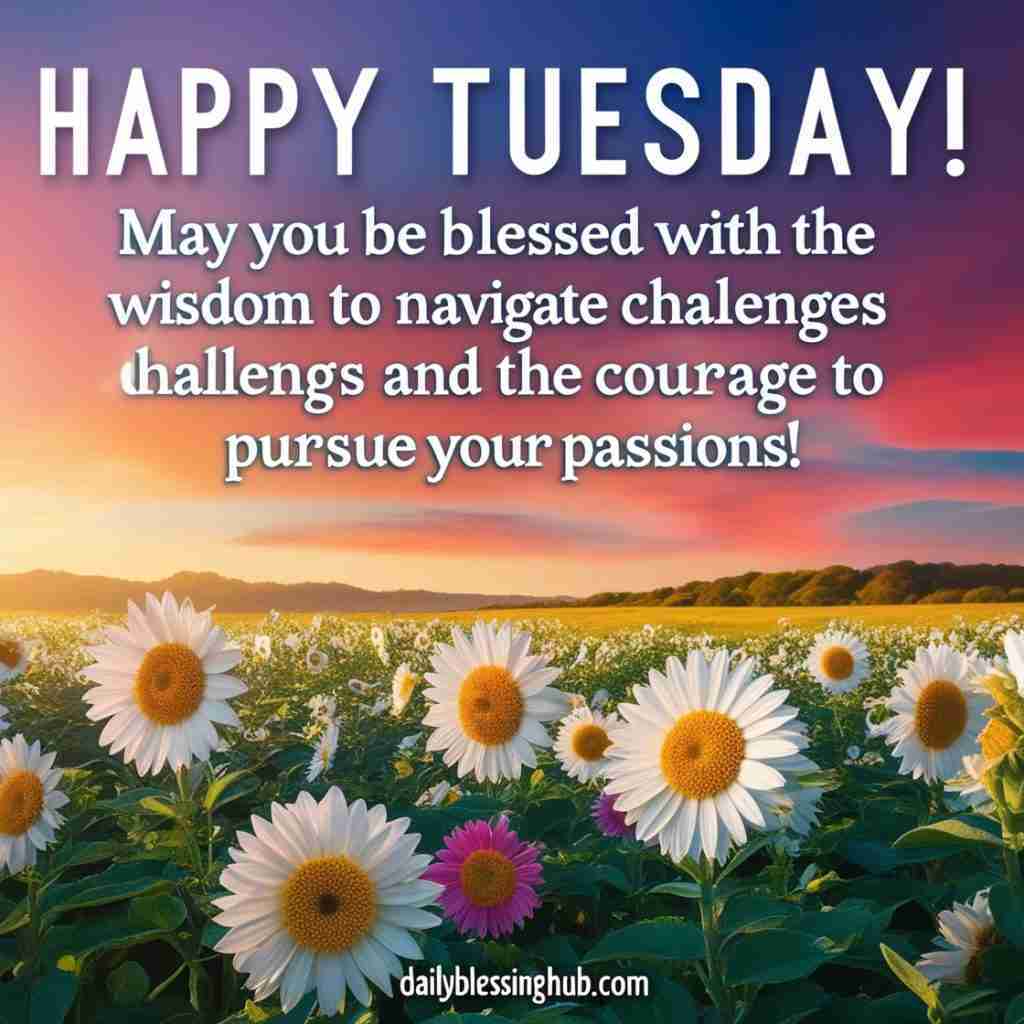 Leonardo Phoenix Happy Tuesday May you be blessed with the wis 1