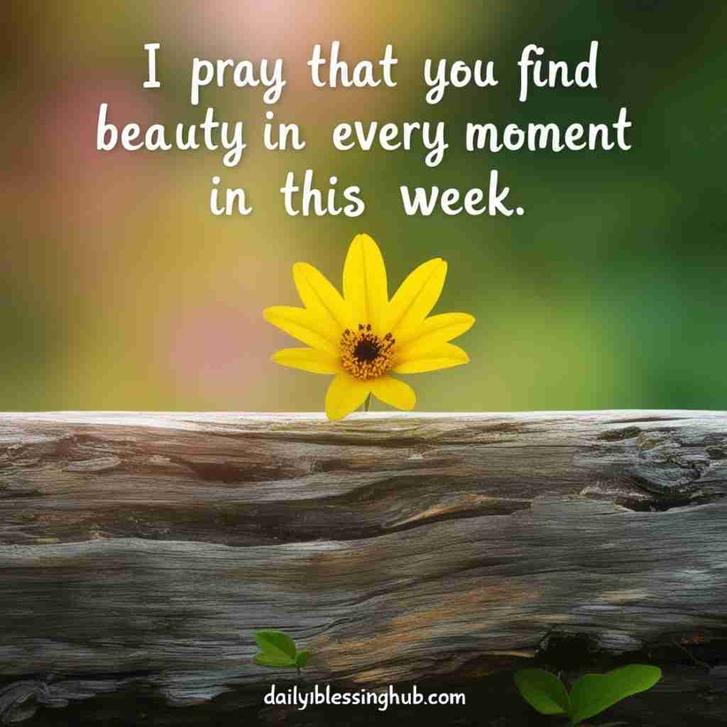 Monday blessings 