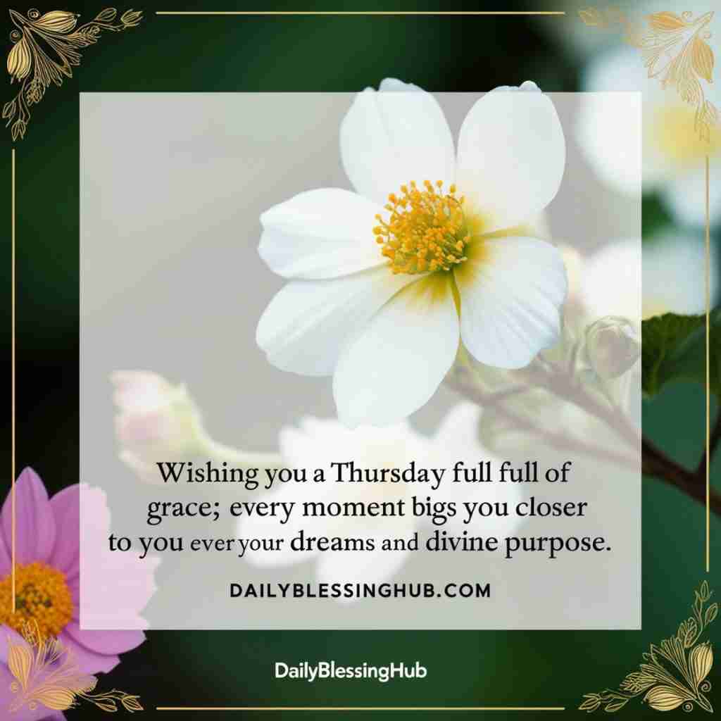 Thursday Blessings
