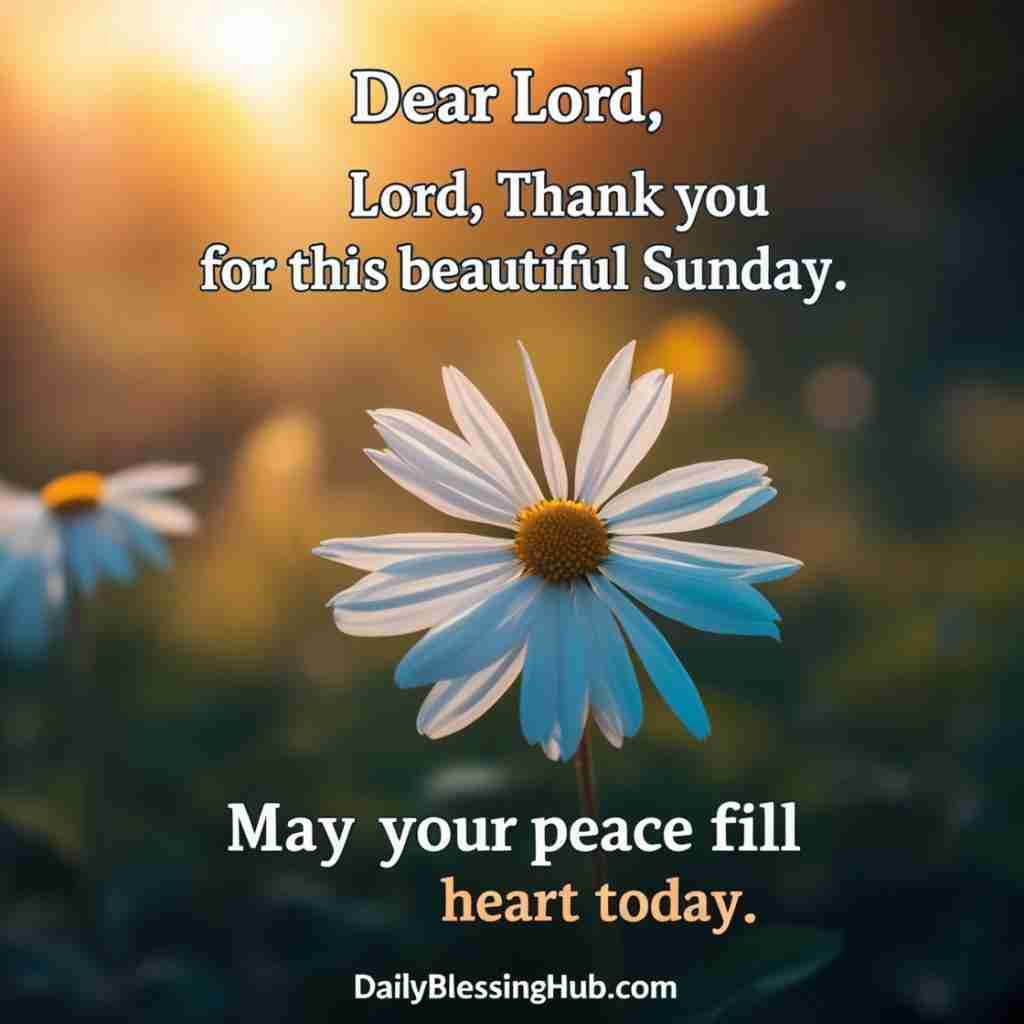 Sunday Prayers