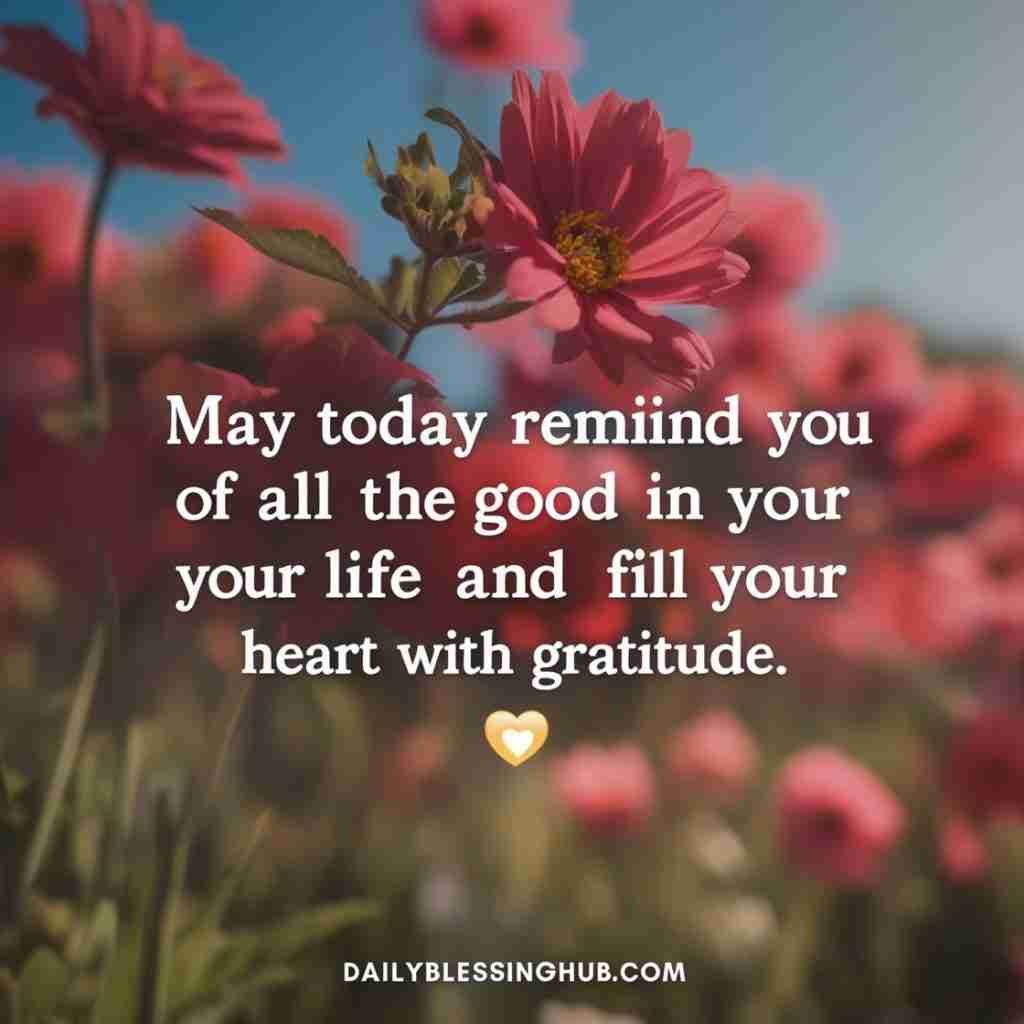 Sunday Blessings 