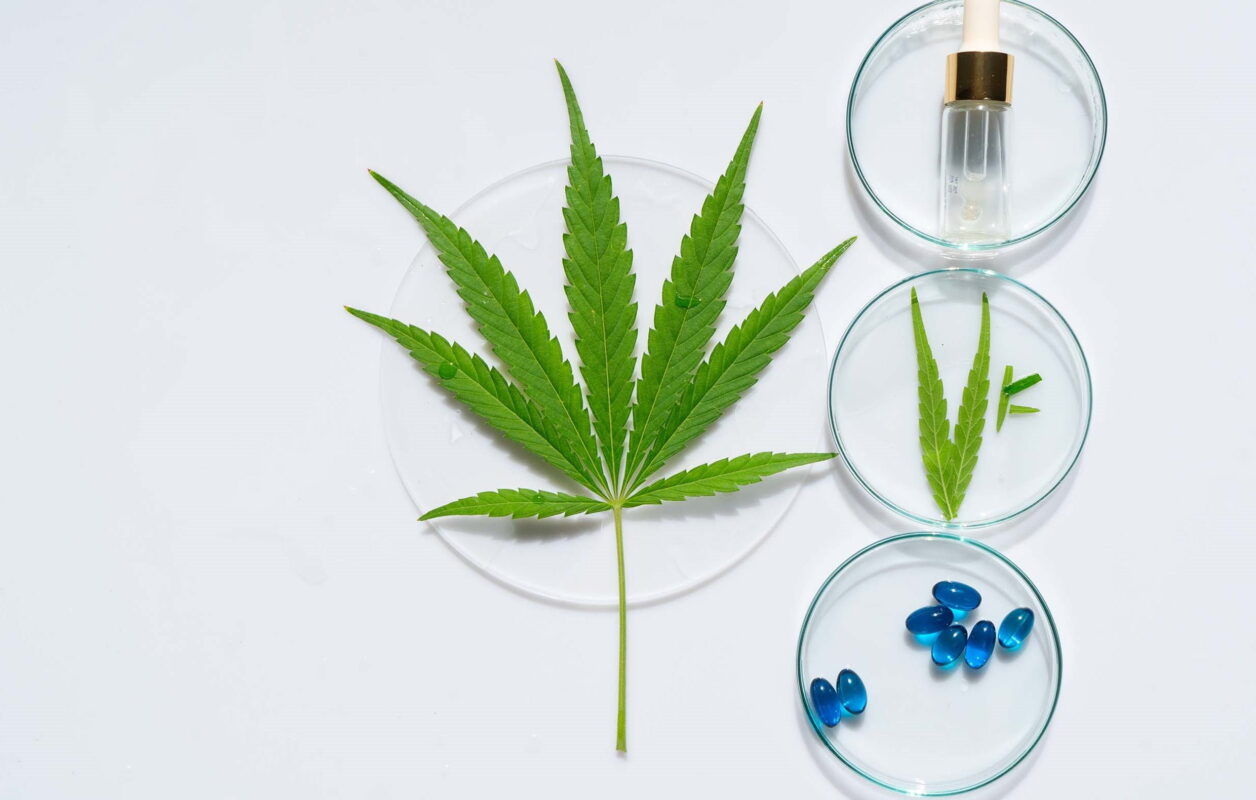 Integrating Medical Marijuana Into Everyday Life